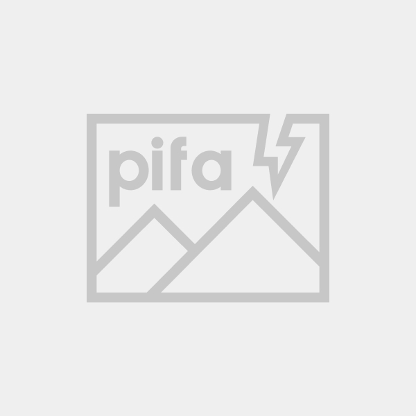 Foto: Terpilih Sebagai Ketua KONI Pontianak, Nanang Setia Budi Fokuskan Program Pembinaan | Pifa Net